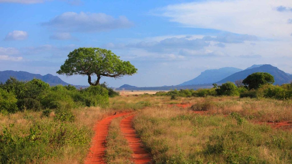 טיול בר מצווה לאפריקה