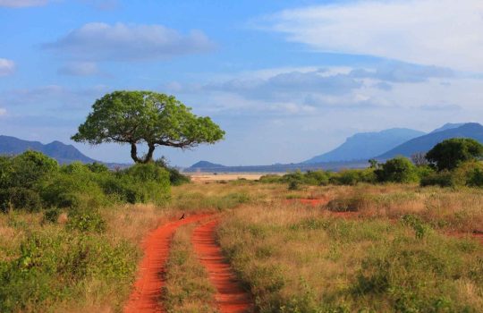 טיול בר מצווה לאפריקה2